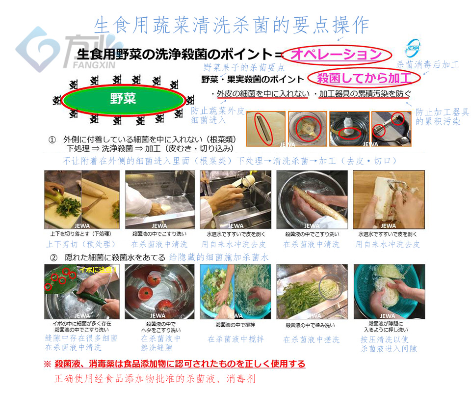 次氯酸对蔬菜加工的杀菌研究