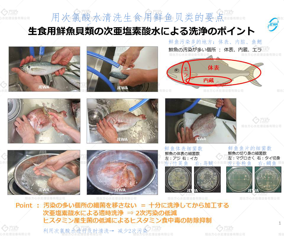 次氯酸对海鲜加工的杀菌研究