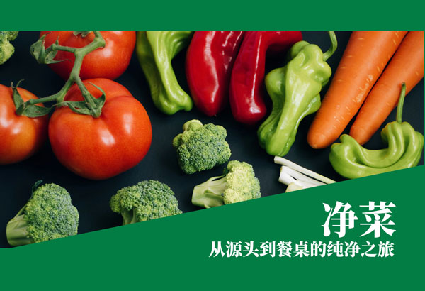 净菜2.jpg
