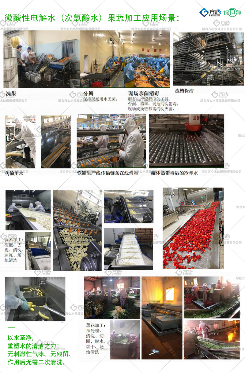 食品加工.jpg
