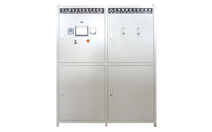 强碱水设备 60L/H